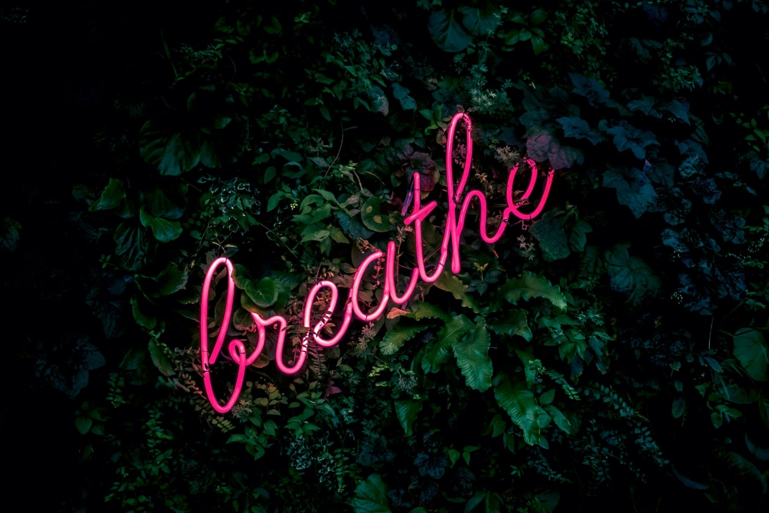 Breathe and live in the moment